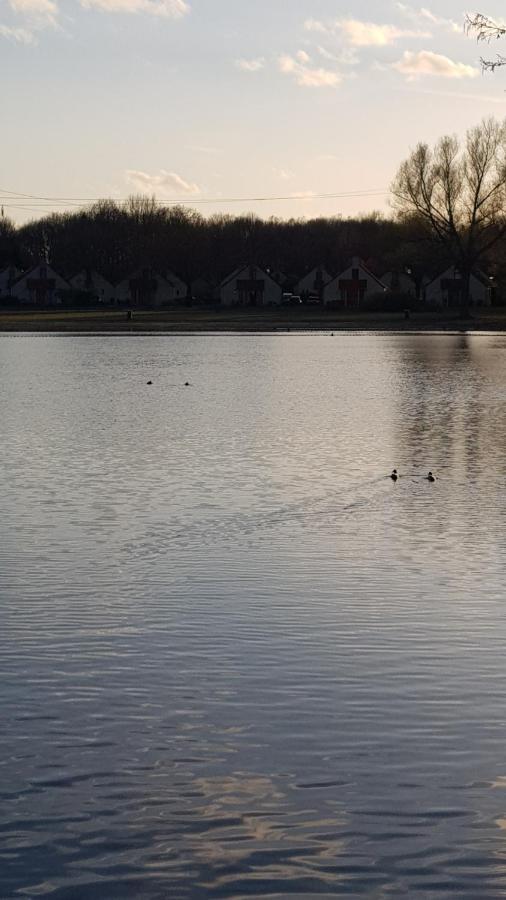 Vakantiewoning Maas En Waal Ewijk エクステリア 写真
